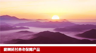养老保障计划产品详情